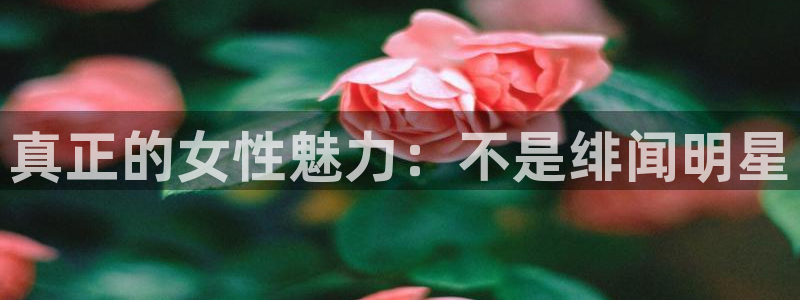 琳琅娱乐：真正的女性魅力：不是绯闻明星