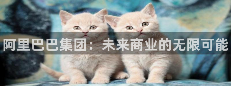 琳琅娱乐注册：阿里巴巴集团：未来商业的无限可能