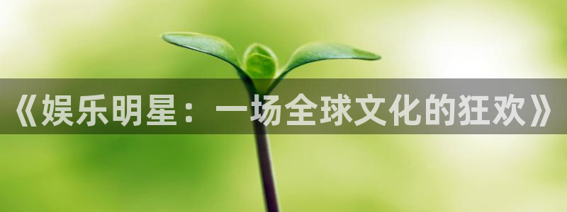 琳琅娱乐注册：《娱乐明星：一场全球文化的狂欢》