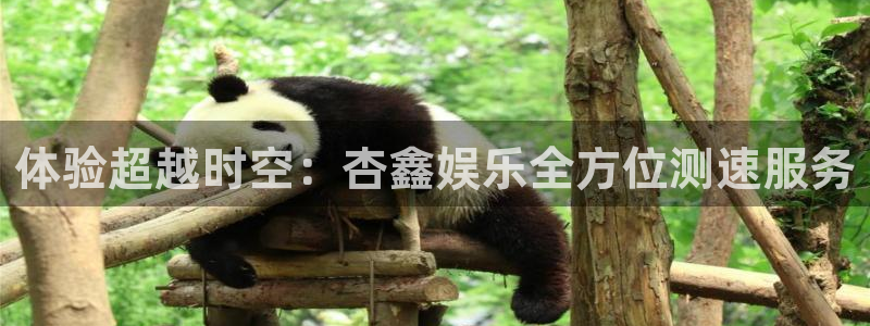 琳琅娱乐：体验超越时空：杏鑫娱乐全方位测速服务