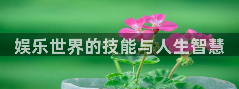 琳琅娱乐注册：娱乐世界的技能与人生智慧