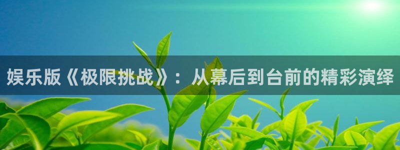琳琅娱乐注册：娱乐版《极限挑战》：从幕后到台前的精彩演绎