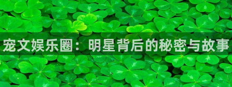 琳琅娱乐注册：宠文娱乐圈：明星背后的秘密与故事