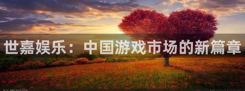 琳琅娱乐：世嘉娱乐：中国游戏市场的新篇章