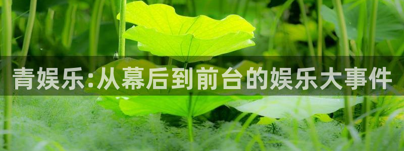 琳琅娱乐：青娱乐:从幕后到前台的娱乐大事件