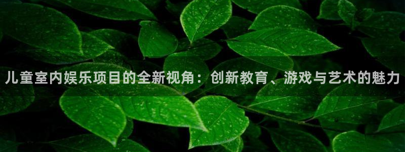 琳琅娱乐注册：儿童室内娱乐项目的全新视角：创新教育、游戏与艺术的魅力